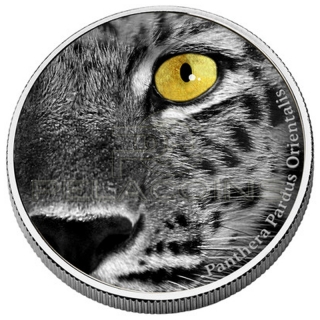 Congo 2013 2000 Francs Natures Eyes - Amur Leopard 2oz