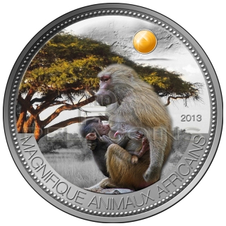 Niger 2013 1000 Fr Pavian Olive Baboon Beautiful African Wildlife Silver Coin