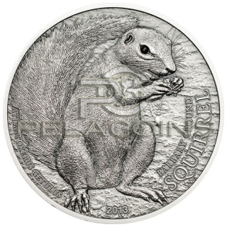 Palau 2013 5$ Ground Squirrel - Wiewiórki