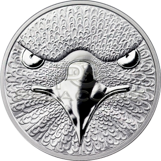 Sol Noctis 1 Bitcoin Cent 2014 - The Binary Eagle 1oz silver