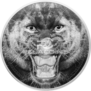 Tanzania 2016 1500 Francs The Black Panther - Rare Wildlife 2oz