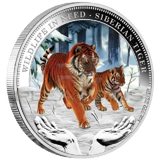 Tuvalu 2012 $1 Siberian Tiger Wildlife in Need