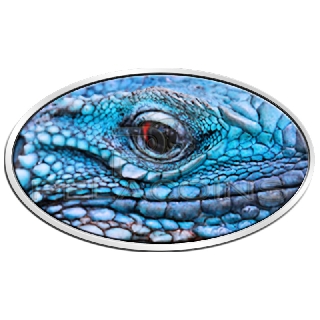 Niue Island 2012 2$ Blue Iguana Ultra high Relief