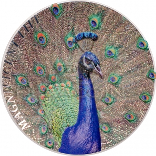 Cook Islands 2015 5$ Magnificent Life 2015 – Peacock 1oz silver