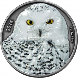 Burkina Faso 2016 1000 Francs Snowy Owl 1oz