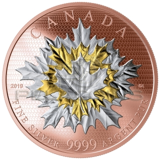 Canada 2019 50$ MAPLE LEAVES IN MOTION 5oz Silver Coin