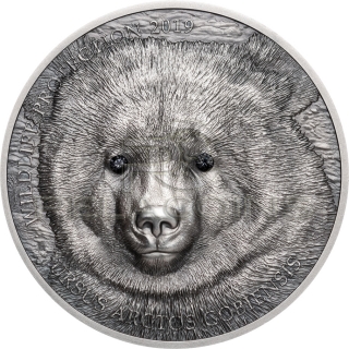 Mongolia 2019 500 Togrog MONGOLIAN GOBI BEAR Wildlife Protection 1oz