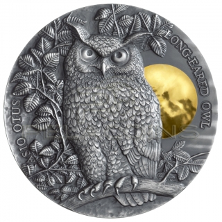 Niue Islands 2019 5$ Long-Eared Owl 2oz