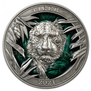 Barbados 2021 5$ Colours of Wildlife - TIGER 3oz