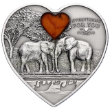 Palau 2013 5$ Everything for You - Elephant Heart Coin with Amber