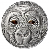 Kamerun 2013 1000 Francs Cross-River Gorilla Baby - Real Eye Effect