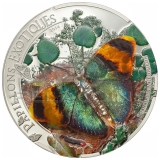 Central African Rebublic 2014 1000 Francs Papillons Exoqtiques Butterfly 3D - Euphaedra neophron