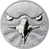 Sol Noctis 1 Bitcoin Cent 2014 - The Binary Eagle 1oz silver