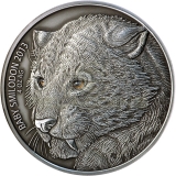 Burkina Faso 2013 5000 Francs Baby Smilodon 4oz - Saber Toothed Tiger - Real eye effect