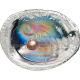 Palau 2016 20$ Sea Treasures Haliotis Ovina - Sheep’s Ear Abalone 3oz