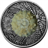 Burkina Faso 2017 1000 Francs World of Evolution - Echinoidea 1oz