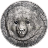Mongolia 2019 500 Togrog MONGOLIAN GOBI BEAR Wildlife Protection 1oz
