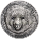 Mongolia 2019 500 Togrog MONGOLIAN GOBI BEAR Wildlife Protection 1oz