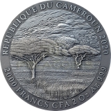 Cameroon 2020 2000 Francs PANTHERA LEO Expressions of Wildlife 2oz Silver Coin